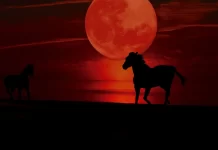 Saksikan Keajaiban 'Blood Moon' di Tengah Ramadan: Panduan Lengkap Jadwal dan Lokasi Gerhana Bulan Total 2025!
