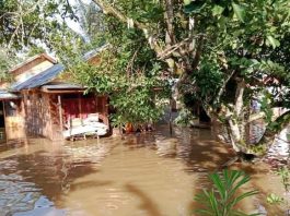 Banjir Kiriman dari Tebing Tinggi Rendam 6 Desa dan Fasilitas Umum di Kecamatan Awayan