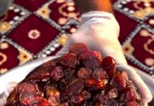 Mengenal Tamr Makbous, Takjil Tradisional Arab Berbahan Kurma yang Kerap Ada Saat Ramadhan