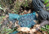 Sesosok Mayat Ditemukan di Kilometer 21 Landasan Ulin, ini Ciri-cirinya
