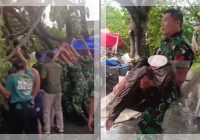 MOMEN MENCEKAM! Hujan Es dan Angin Ribut Terjang Alun-Alun Karanganyar, Pohon Tumbang, 1 Tewas & 2 Luka Berat