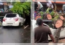 Kisah Bocah Selamat dari Tragedi Pohon Tumbang di Kuta, Ibunya Tewas Mengenaskan