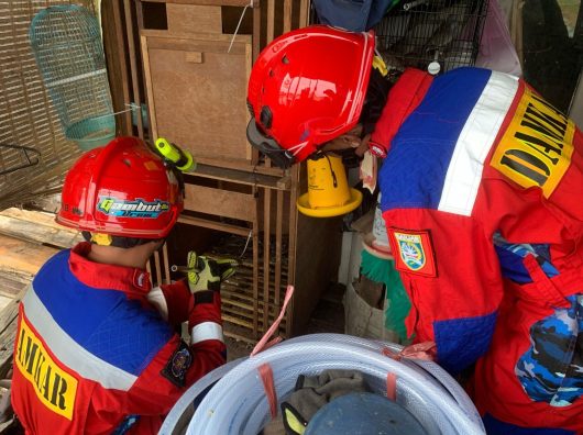Dengar Suara Gaduh, Ahmad Temukan Ular Piton Hendak Memangsa Ternaknya