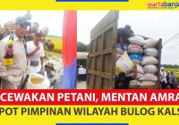 Kecewakan Petani, Mentan Amran Copot Pimpinan Wilayah Bulog Kalsel