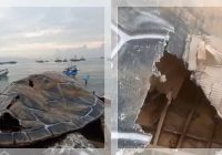 GILA! Habiskan Rp15,6 Miliar Patung Penyu di Pelabuhanratu Ini Cuma dari Kardus, 5 Bulan Sudah Rusak
