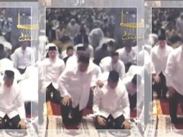 Siapkan 30 Proyek Strategis, Prabowo: Targetkan 8 Juta Lapangan Kerja untuk Kurangi Pengangguran