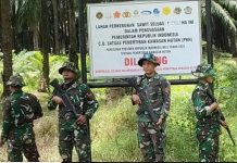 Satgas PKH dan TNI Bersenjata 'Kepung' Kawasan Sawit di Tanahlaut, Sukses Segel 19 Perkebunan Ilegal!