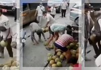 Aksi Kontroversial Satpol PP Terhadap Pedagang Kelapa Muda: Penertiban yang Bikin Heboh di Media Sosial