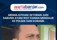 VIDEO - Mengejutkan! Setoran Judi Sabung Ayam Way Kanan Mengalir ke Polsek dan Koramil