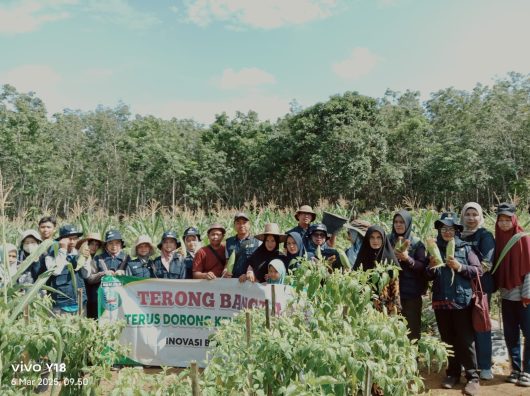 Pemkab Banjar Majukan Pertanian di Karang Intan dengan Targetkan Swasembada Jagung