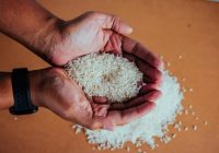 Ini Bacaan Niat Zakat Fitrah untuk Anak Perempuan dan Laki-laki