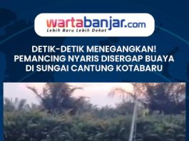 VIDEO - Detik-detik Menegangkan! Pemancing Nyaris Disergap Buaya di Sungai Cantung Kotabaru