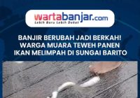 VIDEO - Banjir Berubah Jadi Berkah: Warga Muara Teweh Panen Ikan Melimpah di Sungai Barito