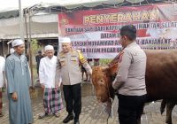 Kapolda Kalsel Serahkan Sapi Limosin 700 Kg untuk Haul Ke-219 Datu Kelampayan