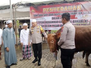 Kapolda Kalsel, Irjen Pol Rosyanto Yudha Hermawan, menyerahkan sapi untuk dapur umum pelaksanaan haul ke-219 Datu Kelampayan. (wartabanjar.com - Ist. Humas)