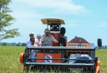 Presiden Prabowo Puji Mentan Amran Sulaiman, "Saya Cari Selalu Ada di Sawah"