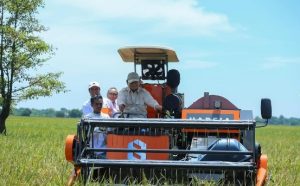 Mentan Amran Sulaiman (pakai topi) bersama Mendag Zulkifli Hasan mendampingi Presiden Prabowo panen raya serentak di Majalengka, Jawa Barat. (wartabanjar.com - Ist. @amransulaiman)