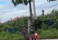 Viral Gepokan Uang Tercecer di Balangan! Pecahan Rp50 Ribu Berhamburan di Jalan, Pemilik Diklakson Tak Dengar