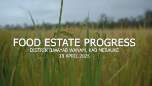 Progres proyek cetak sawah 1 juta hektare di Wanam, Merauka, Papua Selatan. (wartabanjar.com - Istimewa)
