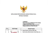 Ini Dia Produk Mengandung DNA Babi Berlabel Halal, Kebanyakan Makanan Anak-anak