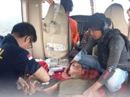 Cari Iptu Tomi Samuel di Hutan Papua Barat, Personel Polri Nyaris Tewas Disengat Lebah