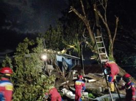 Gudang Banih di Astambul Rusak Berat Usai Ditimpa Pohon