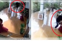 NGERI! Aksi Begal Nekat Masuk Halaman Rumah saat Idul Fitri, Ibu dan Anak Jadi Korban