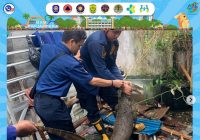 Biawak Besar Masuk Rumah, Meresahkan Warga Teluk Dalam Banjarmasin