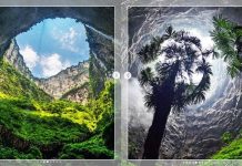 WOW! China Temukan Sinkhole Raksasa Sedalam 192 M, Ternyata Sembunyikan Hutan Purba yang Belum Terjamah