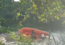 Bocah Hilang Diduga Tenggelam di Simpang Limau Belum Ditemukan, Petugas Gunakan Metode Blender di Atas Air Saat Pencarian