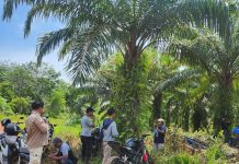 Inventarisasi Lahan Plasma di Desa Asri Mulya Asam Mandek: KUD Mukti Tama Soroti Ketidaksiapan PT KJW