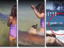 Ramah dengan Anak-anak, Hiu Malah Serang Prajurit Israel di Pantai Hadera, Netizen: “Penghuni Laut Pun Jadi Hizbullah”
