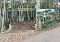 3 Destinasi Wisata di Kabupaten Balangan Bisa Jadi Pilihan Saat Libur Lebaran