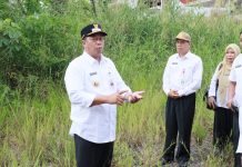 Bupati Batola Akan Kembangkan Puskesmas Anjir Muara Menjadi Rumah Sakit