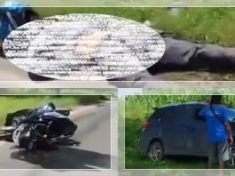 Tragis! Pemotor Tewas di Tempat Usai Tabrakan dengan Mobil di Bukit Teletubbies Pelaihari