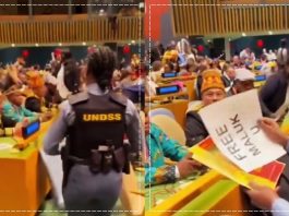 VIRAL di Sidang PBB! Delegasi Aceh, Papua, dan Maluku Dilaporkan Indonesia atas Dugaan Provokasi Internasional