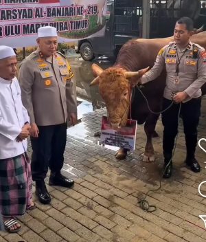 Kapolda Kalsel Serahkan 5 Ekor Sapi Limosin untuk Haul Datu Kelampayan ke-219