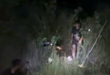Pria Hilang di Hutan Berangas Tengah Ditemukan Lemas
