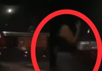 Viral Mobil Dinas Kemhan RI Diduga Sewa PSK