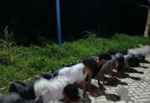 Remaja Bawa Tuak Dihukum Push-up oleh Sat Pol PP Banjarbaru