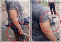 HEBOH! Diserang Pakai Sajam, Mertua di Sungai Tabuk Balik Kalahkan Menantu hingga Terkapar, Netizen: "Taguh Banar Acil"