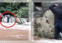 VIRAL! Detik-Detik Wisatawan Terjebak Banjir Bandang di Air Terjun Riam Marun, Satu Masih Hilang