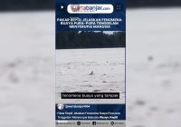 VIDEO - Pakar Reptil Jelaskan Fenomena Buaya Pura-pura Tenggelam Menyerupai Manusia