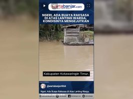 VIDEO - Ngeri, Ada Buaya Raksasa di Atas Lanting Warga, Kondisinya Mengejutkan