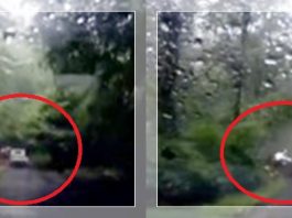 VIDEO VIRAL Detik-detik Dua Mobil Disapu Longsor Jalur Pacet-Cangar, 10 Orang Tewas
