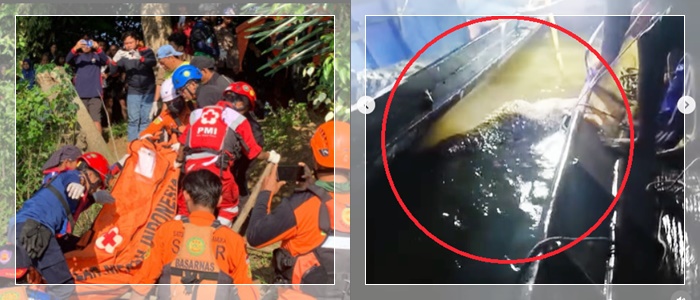 diterkam buaya12