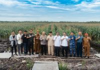 Gubernur Kalsel Bakal Laporkan Pencapaian Polda Kalsel Tanam Jagung di 120 Hektare Lahan kepada Menteri Zulhas