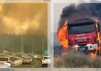 NERAKA DI TENGAH ISRAEL: Kobaran Api Landa Beit Shemesh, Ribuan Orang Dievakuasi