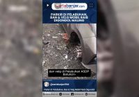 VIDEO - Parkir di Pelabuhan, Ban & Velg Mobil Raib Digondol Maling