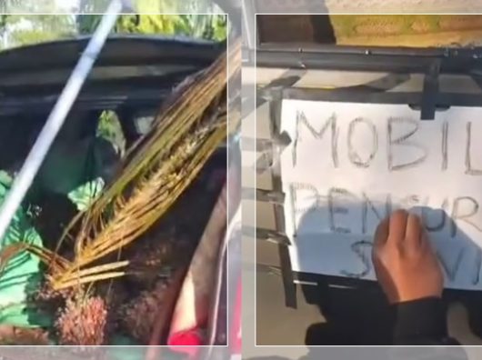 Geram Aksi Pencurian Sawit, Warga Hancurkan Mobil Pelaku dan Coret "Mobil Pencuri Sawit"